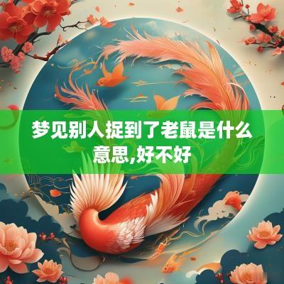 梦见别人捉到了老鼠是什么意思,好不好
