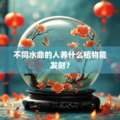 不同水命的人养什么植物能发财？