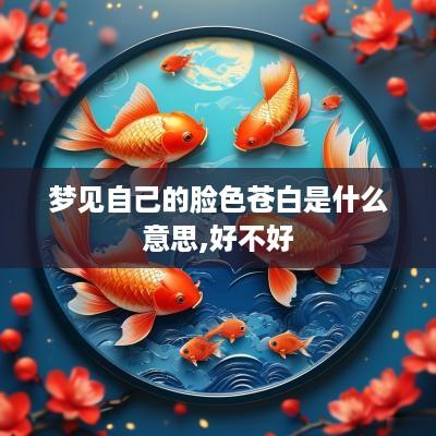 梦见自己的脸色苍白是什么意思,好不好