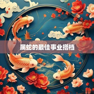 属蛇的最佳事业搭档