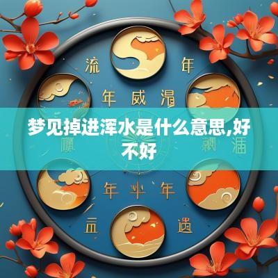 梦见掉进浑水是什么意思,好不好