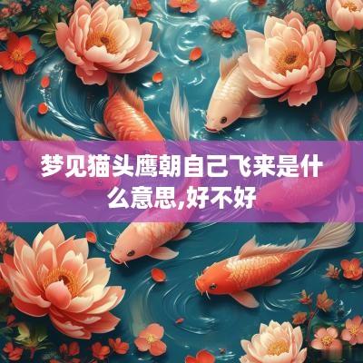 梦见猫头鹰朝自己飞来是什么意思,好不好