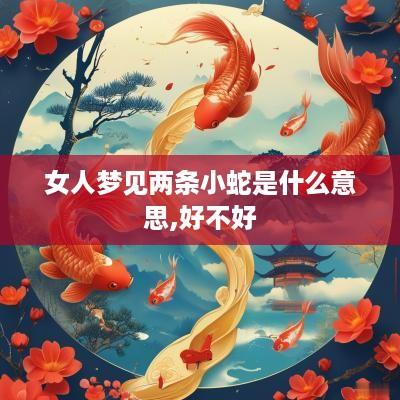 女人梦见两条小蛇是什么意思,好不好