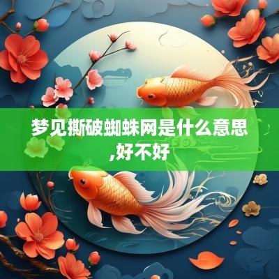 梦见撕破蜘蛛网是什么意思,好不好