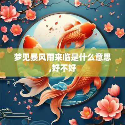 梦见暴风雨来临是什么意思,好不好
