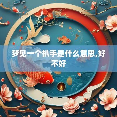 梦见一个扒手是什么意思,好不好