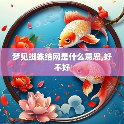 梦见蜘蛛结网是什么意思,好不好