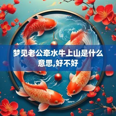 梦见老公牵水牛上山是什么意思,好不好