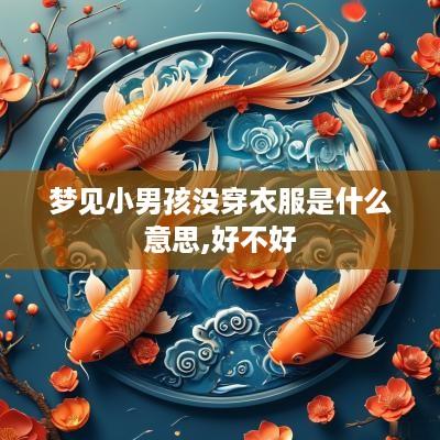 梦见小男孩没穿衣服是什么意思,好不好