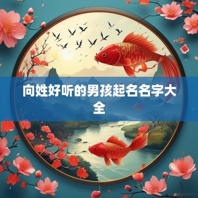 向姓好听的男孩起名名字大全