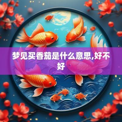 梦见买香茄是什么意思,好不好