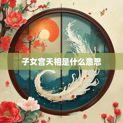 子女宫天相是什么意思