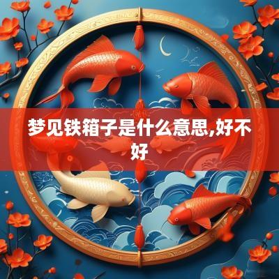 梦见铁箱子是什么意思,好不好