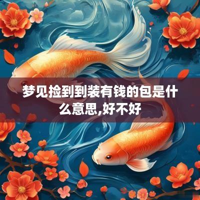 梦见捡到到装有钱的包是什么意思,好不好