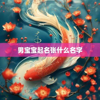 男宝宝起名张什么名字