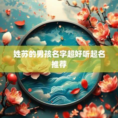 姓苏的男孩名字超好听起名推荐