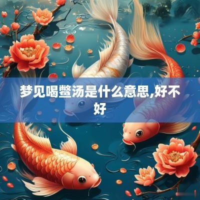 梦见喝鳖汤是什么意思,好不好