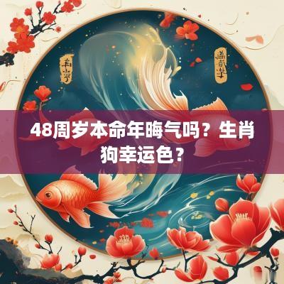 48周岁本命年晦气吗？生肖狗幸运色？