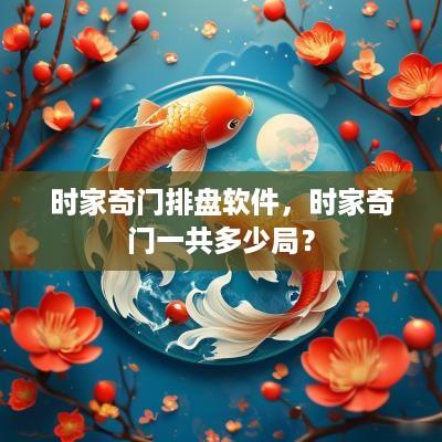 时家奇门排盘软件，时家奇门一共多少局？