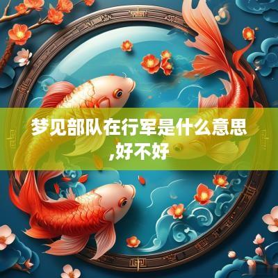 梦见部队在行军是什么意思,好不好