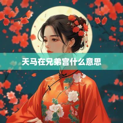 天马在兄弟宫什么意思