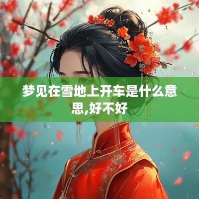 梦见在雪地上开车是什么意思,好不好