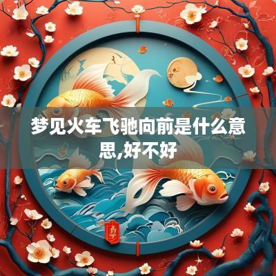 梦见火车飞驰向前是什么意思,好不好