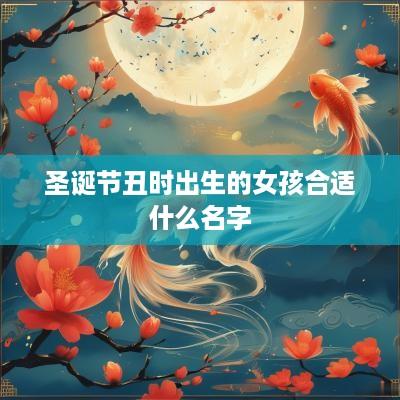 圣诞节丑时出生的女孩合适什么名字