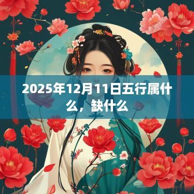 2025年12月11日五行属什么，缺什么