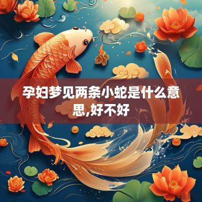 孕妇梦见两条小蛇是什么意思,好不好