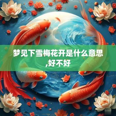 梦见下雪梅花开是什么意思,好不好