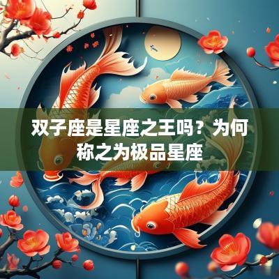 双子座是星座之王吗？为何称之为极品星座