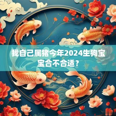 我自己属猪今年2025生狗宝宝合不合适？