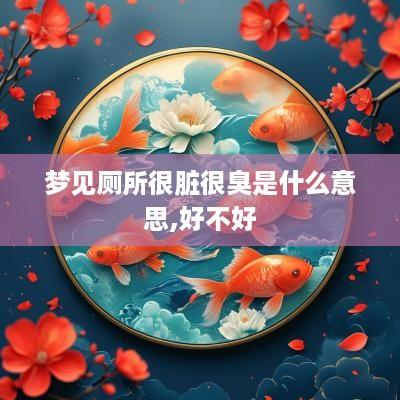 梦见厕所很脏很臭是什么意思,好不好