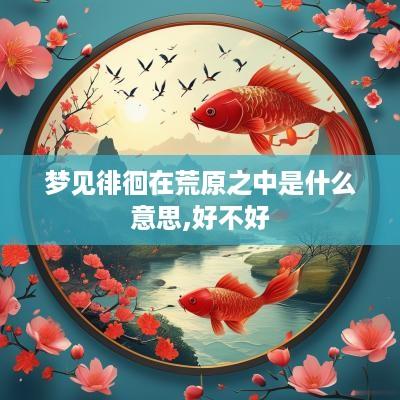 梦见徘徊在荒原之中是什么意思,好不好