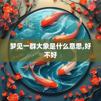 梦见一群大象是什么意思,好不好