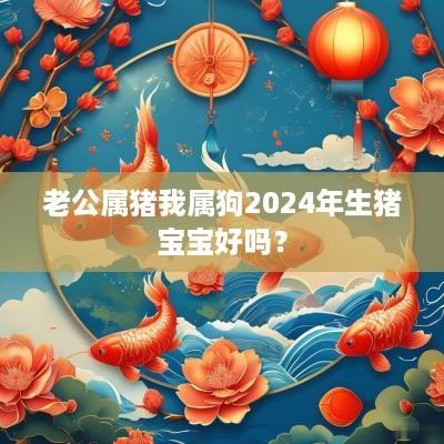 老公属猪我属狗2025年生猪宝宝好吗？