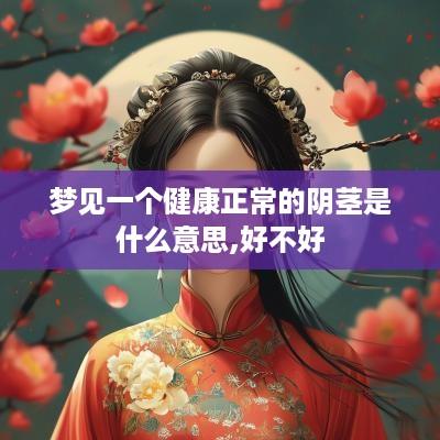 梦见一个健康正常的阴茎是什么意思,好不好