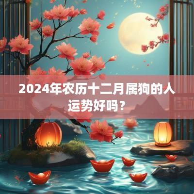 2025年农历十二月属狗的人运势好吗？