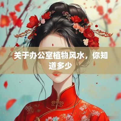 关于办公室植物风水，你知道多少