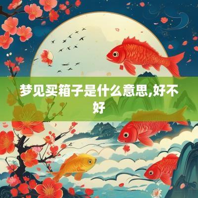 梦见买箱子是什么意思,好不好