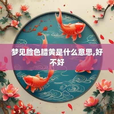 梦见脸色腊黄是什么意思,好不好