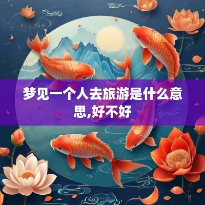 梦见一个人去旅游是什么意思,好不好