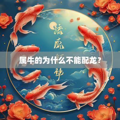 属牛的为什么不能配龙？