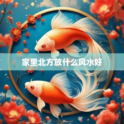 家里北方放什么风水好