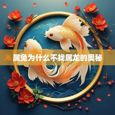 属兔为什么不找属龙的奥秘