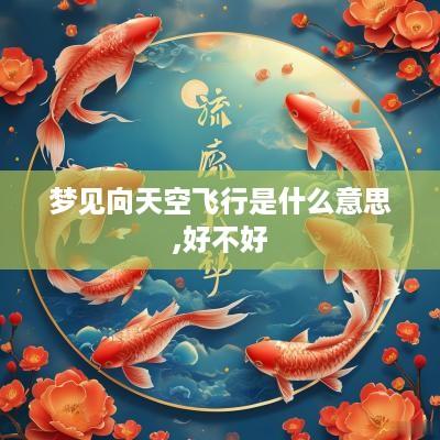 梦见向天空飞行是什么意思,好不好