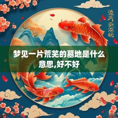 梦见一片荒芜的墓地是什么意思,好不好