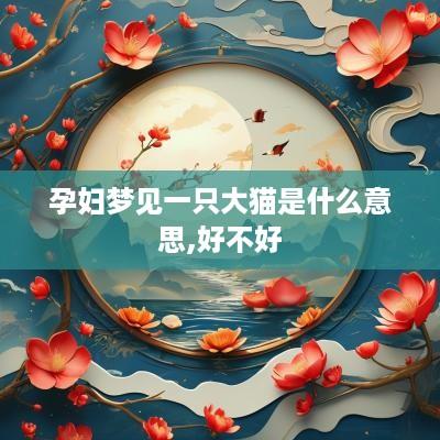 孕妇梦见一只大猫是什么意思,好不好