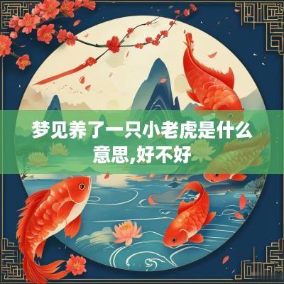 梦见养了一只小老虎是什么意思,好不好
